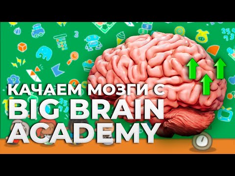 Обзор Big Brain Academy: Brain vs. Brain