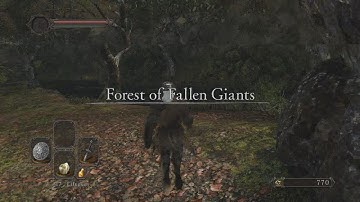 Dark Souls 2 DS2 Gameplay Walkthrough Part 4 - Forest of fallen giants