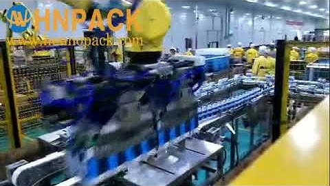 Hennopack robot case packer for two aseptic brick carton beverageine place in to box