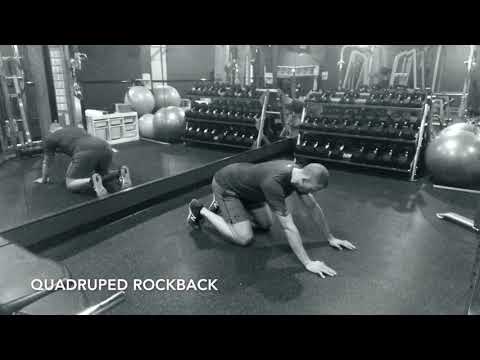 Quadruped Rockback - Upside Strength Exercise Library