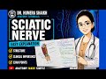 Sciatic nerve anatomy| simplified| hand written exam notes
