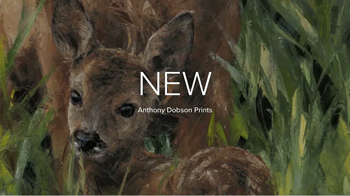 NEW Anthony Dobson Prints
