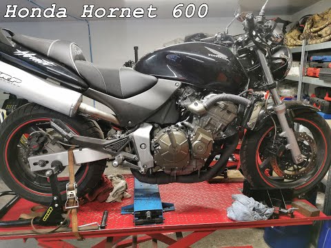 Wideo: Honda Hornet: odzyskuje swoją nazwę