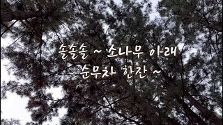쉼표한잔 x 강화순무 TAKE 14  #강화순무 #강화특산물 #순무차 #teatime #힐링영상 #인천강화군 #순무