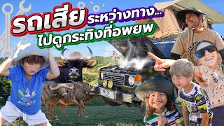 งานเข้า“รถเสีย”กลางทาง ระหว่างดูกระทิงเกือบเอาตัวไม่รอด !! | กุมารTravel EP.303