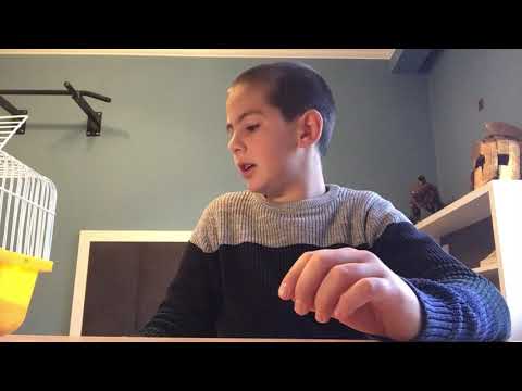 განსხვავებები წყლისა და მიწის კუს შორის