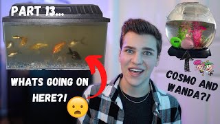 I Can&#39;t Believe How *NASTY THIS AQUARIUM IS*... Reacting to the WORST Aquariums PART 13!