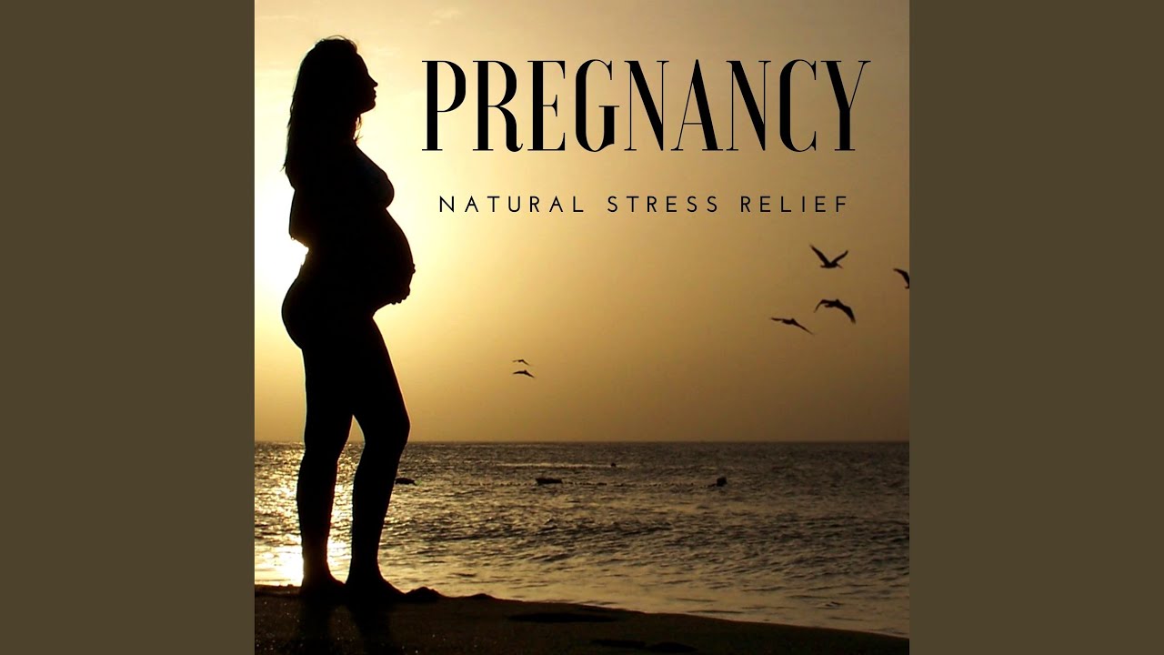 Nature Power To Relax Water Music Joshua Monite Shazam