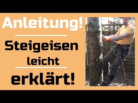 Video: Wir werden lernen, wie man auf einen Baum klettert: Anleitung