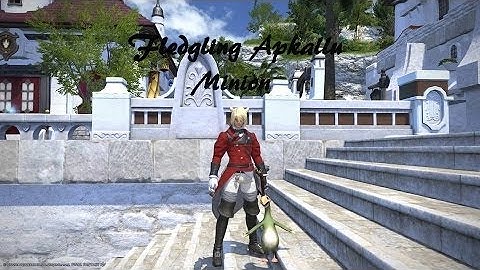 FFXIV ARR: Obtaining Fledgling Apkallu (Minion)