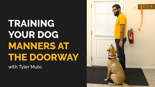 Training Your Dog Manners at the Doorway with Tyler Muto