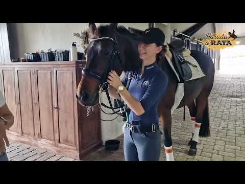 Video: Herramientas de entrenamiento de caballos - Espuelas