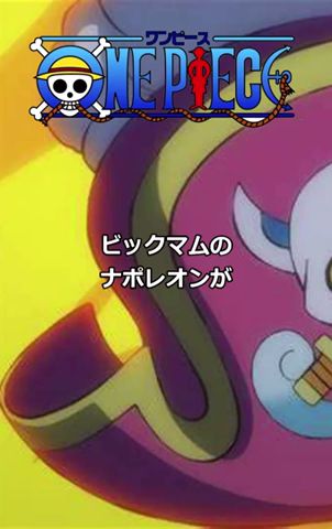 ナポレオンに關する少し怖い雜學【ONE PIECE】
