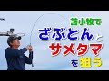 【ジギング】こんなにサメタマ釣ったこと無い!!今回も初場所でヒラメを狙う【山本啓人】