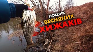 РИБАЛКА СПІНІНГОМ в БЕРЕЗНІ ! ГОЛОВЕНЬ ,ЩУКА ,ОКУНЬ