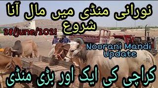 Noorani Mandi latest update 28/June/2021 ,