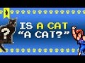 Is a cat a cat derrida  double dragon  8bit philosophy