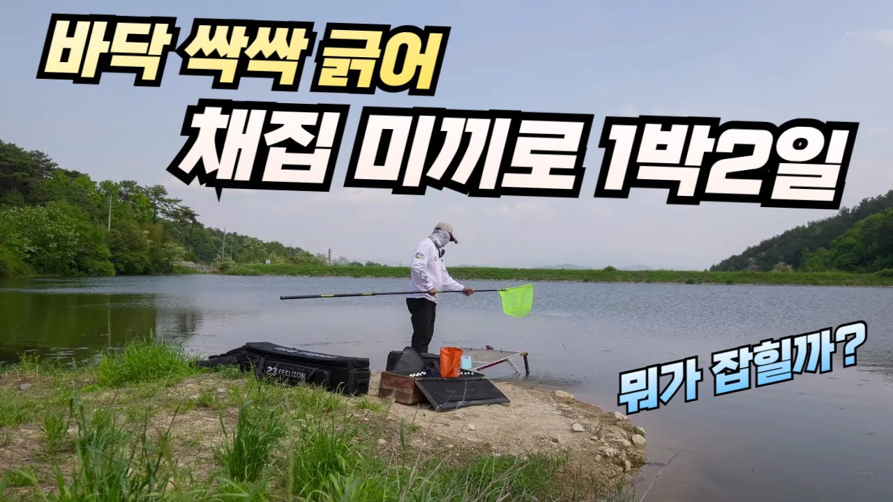 뜰채로 미끼 채집해서 1박2일 낚시 뭐가 잡힐까?  에코플로우 리버3 파워뱅크
