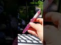 Resin pen by colourcreation  shorts