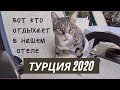 Полет в бизнес-классе, этого мы не ожидали! Отель Nashira Resort 5*, отдых Турция 2020