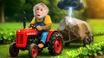 Redding van de tractor van Monkey Mynu: red de moestuin van de vuurmeteoor! - MyNu Monkey Life