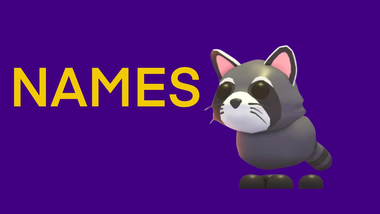 RACCOON NAMES IN ADOPT ME ROBLOX YouTube