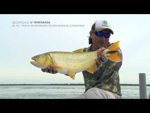 Fish TV - Biopesca - Pesca de Dourado no Rio Paraná, Argentina - T05 EP02 - Fish TV - Biopesca - Pesca de Dourado no Rio Paraná, Argentina - T05 EP02