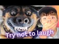 Olivers Try Not To Laugh Challenge!!