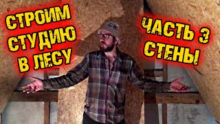 Строим студию в лесу / 3 выпуск / DPrize