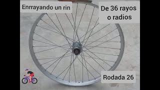 Enrayando un rin de triciclo de 36 rayos (radios)  rodada 26 explicado paso a paso