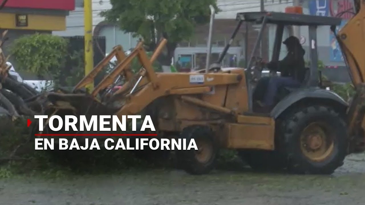Se cayeron hasta los árboles y los anuncios por la TORMENTA en Tijuana