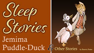 “Jemima Puddle-Duck” and other stories | Calm Reading for Grownups to Help You Sleep