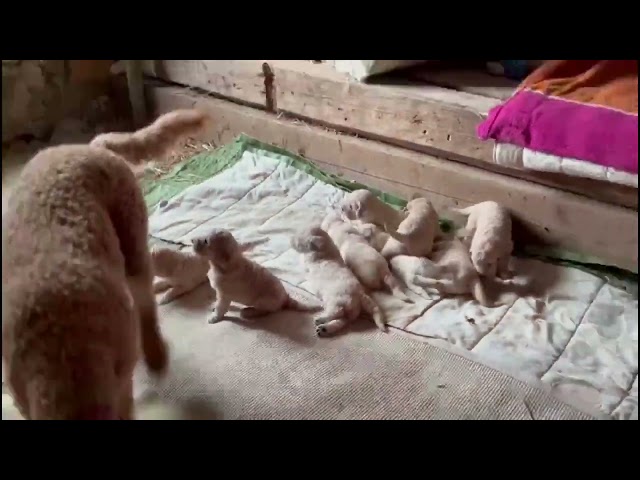 Wir mussten umziehen ....