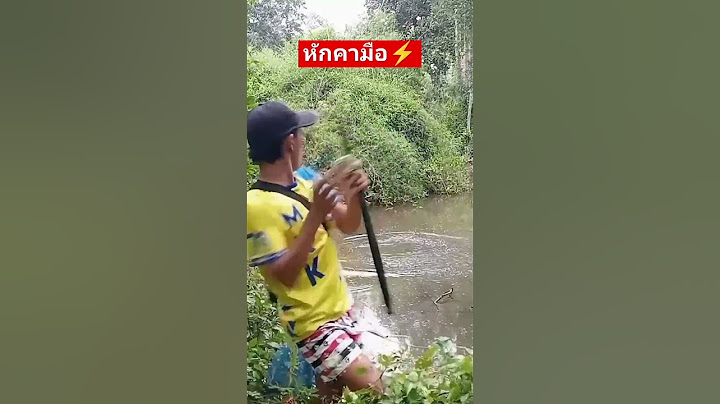 ปลา3-4ขีดคันหักได้ไง🤔 #ตกปลา #fishing #ตกปลาชะโด #เหยื่อสดกบน้อยซิ่ง