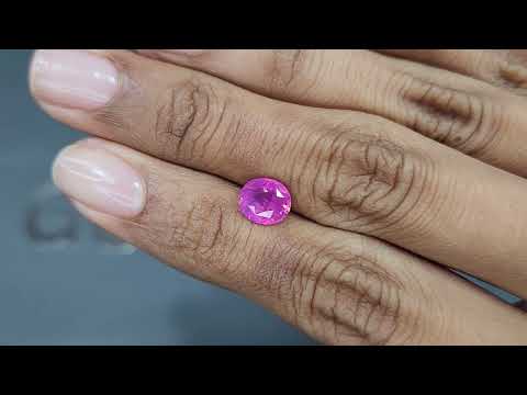 Негретый сапфир Hot Pink с эффектом рутилового шелка в огранке овал 2,02 карата, Шри-Ланка Видео  № 1