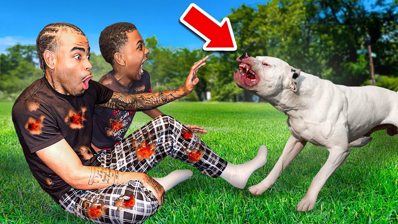 We Survived A Vicious Dog Attack - YouTube