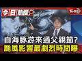 白海豚游來過父親節？颱風影響最劇烈時間曝　北轉角度關鍵｜TVBS新聞 @TVBSNEWS01