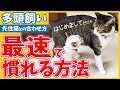 【もう1匹欲しい…! 飼う前に見て!!】多頭飼いの落とし穴…!?事前準備の方法やスムーズにお迎えする為の準備をご紹介!
