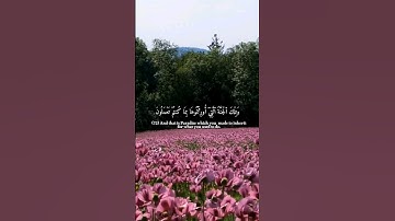 سورة الزخرف || أحمد خضر