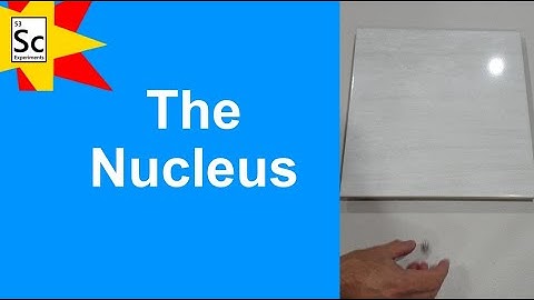 The Nucleus | PHYSICS EXPERIMENTS |