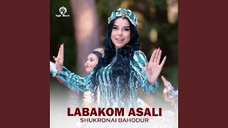 Labakom Asali Resimi