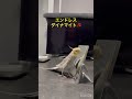 ダイナマイトどや🧨