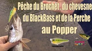 Pêche du Brochet - Chevesne - Black Bass - Perche au Popper - Go Pro HD