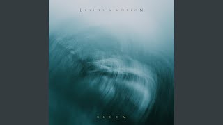 Download Lagu Lion MP3 Download Lagu Lion MP3