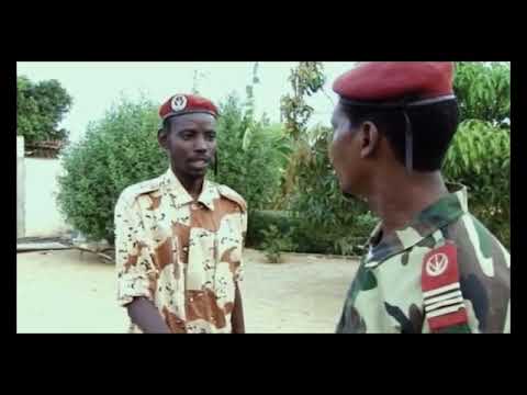 اجمل فيديو في تشاد