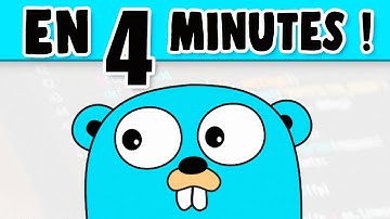 Le Langage Go expliqué en 4 Minutes