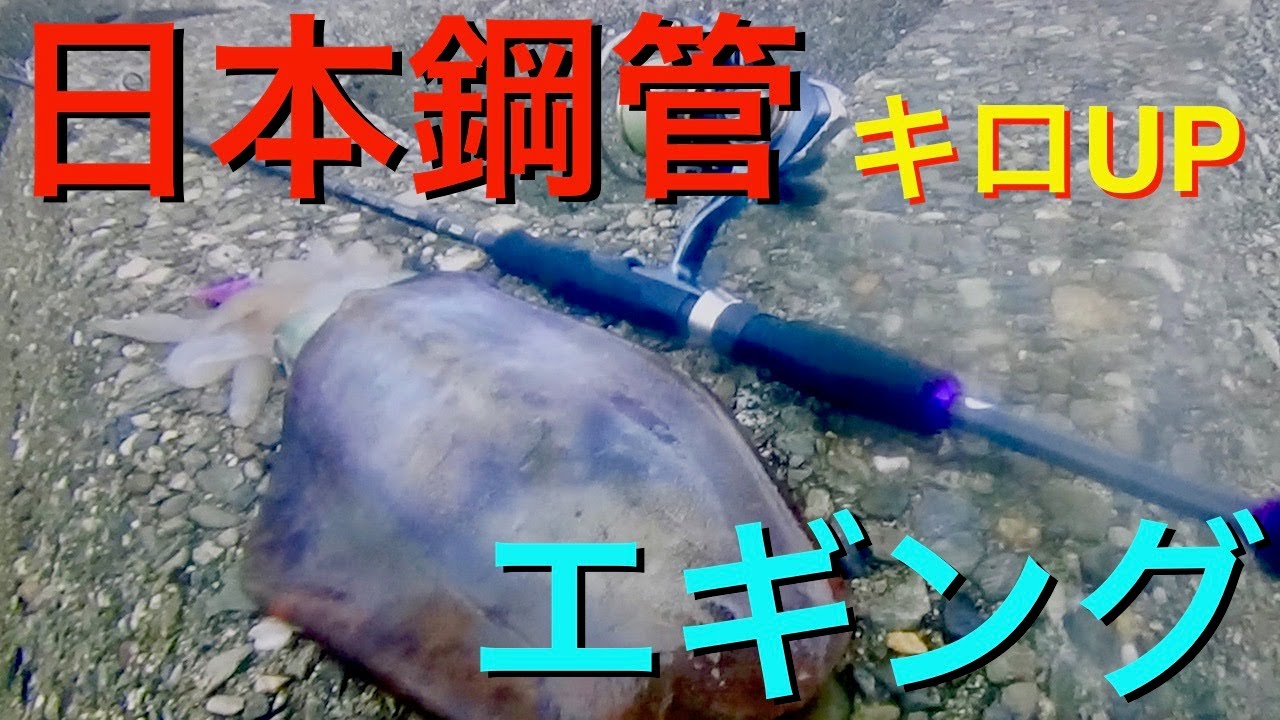 三重県津市日本鋼管釣り この釣り場のしゃくり方こうすれば反応が良い Youtube
