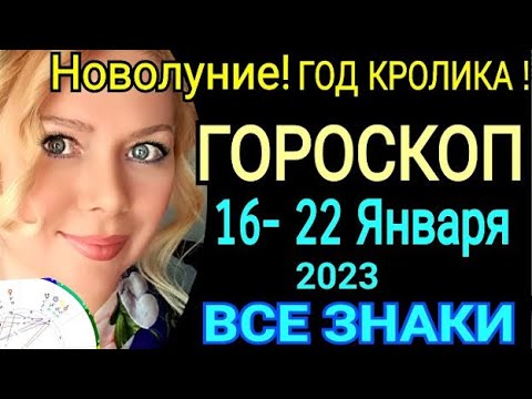 Гороскоп Декабря 2023