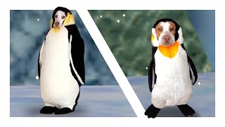 Penguin Dogs 64