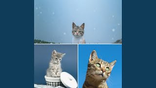 Modish Happy Cat